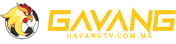 gavangtv.com.mx