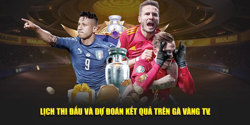 Lịch thi đấu và dự đoán kết quả trên Gà Vàng TV.