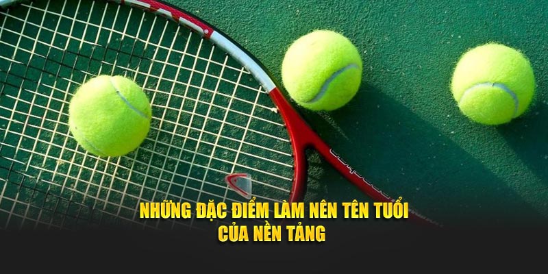 Những đặc điểm làm nên tên tuổi của nền tảng trực tiếp quần vợt